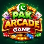 Beginner player reading tips for safe and smart gaming in PAK Arcade Game