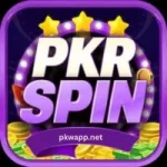 PKR Spin Game