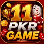 11 PKR Game mobile gaming app interface simple and easy to use