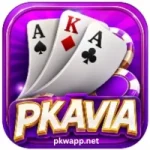 PK Avia Game