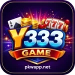 Y333 Game